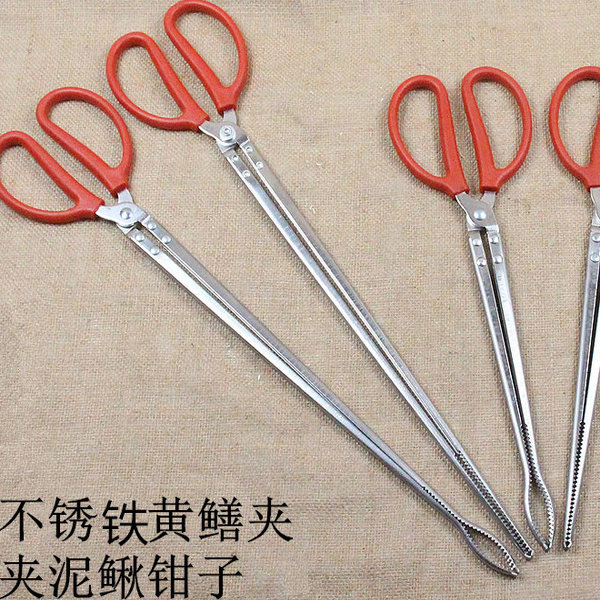 不锈铁加长黄鳝夹鳝鱼钳抓鱼器夹泥鳅钳子赶海螃蟹夹子夹持神器