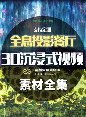 全息沉浸式投影素材裸眼3D全息定制teamlab【单品勿拍】定制款