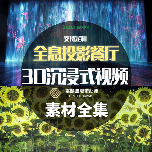 全息沉浸式投影素材裸眼3D全息定制teamlab【单品勿拍】定制款