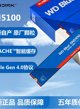 国行WD闪迪蓝盘SN5000 SN5100 500G 1T 2TB M.2 NVMe PCIe固态SSD