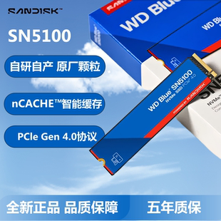 500G SN5100 PCIe固态SSD M.2 NVMe 2TB 国行WD闪迪蓝盘SN5000