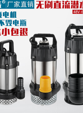 24V48V60V72V水泵无刷直流潜水泵电动车电瓶高扬程灌溉农用抽水机
