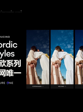 圈踢图片社 CaptureOne 飞思预设 | 北欧杂志 | 北欧生活