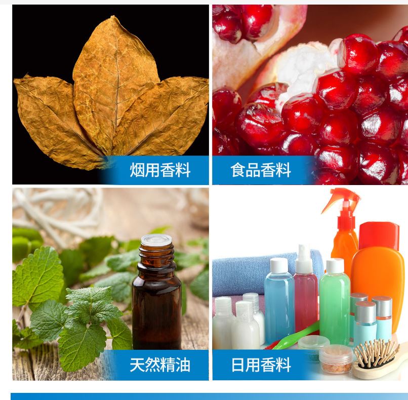 斯里兰卡肉桂叶油植物提取辛甜香气锡兰桂叶油