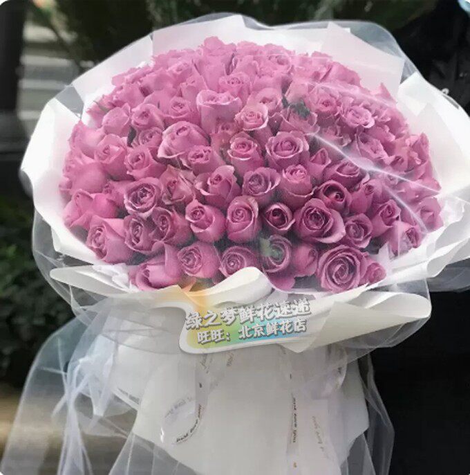 99朵紫玫瑰花束全国鲜花速递表白送女友生日同城花店送花北京花店