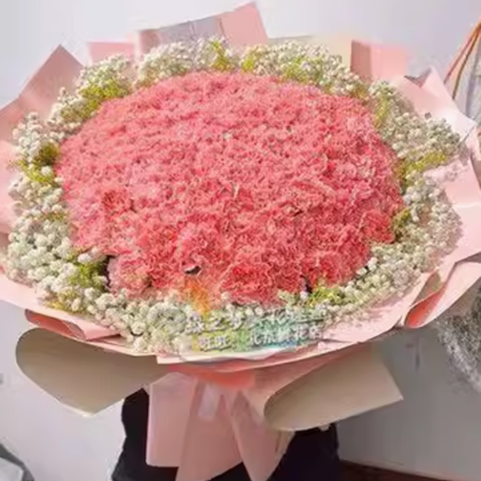 大花束 99朵粉色康乃馨 北京实体花店同城包邮母亲 长辈 生日送花
