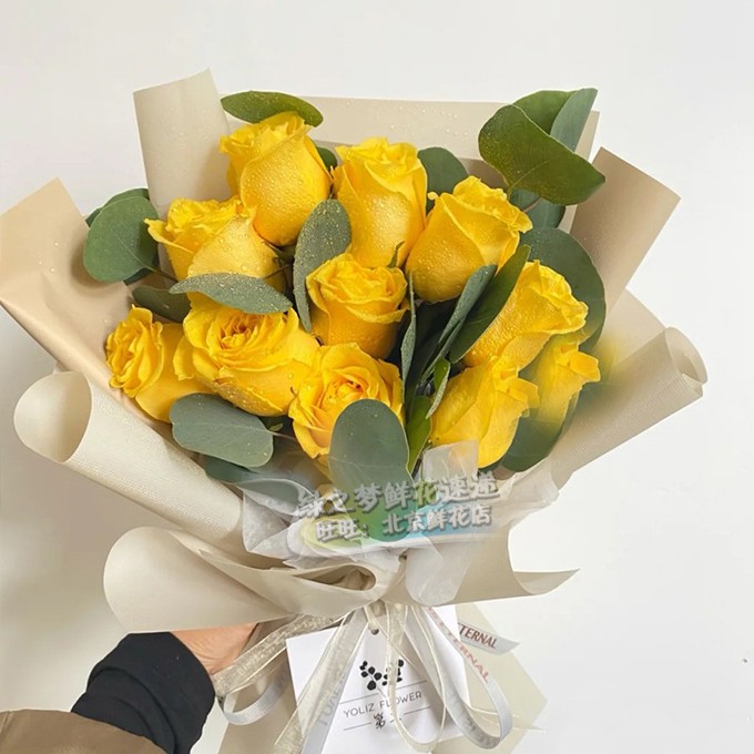 黄玫瑰花束道歉认错哄女友鲜花速递北京同城配送鲜花店天津送鲜花