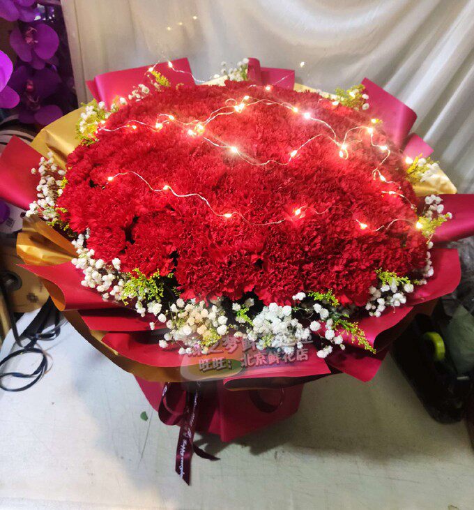 同城鲜花妈妈母亲长辈生日鲜花北京花店送花99朵红色康乃馨鲜花束