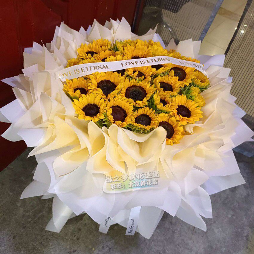 33枝向日葵大花束花店送花 同城鲜花 生日鲜花北京向日葵鲜花太阳