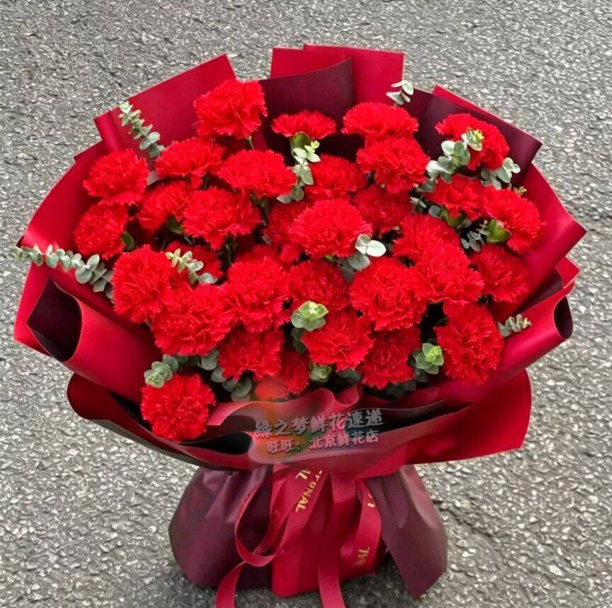 妈妈生日母亲红色康乃馨花束同城北京鲜花速递全国花店天津送鲜花