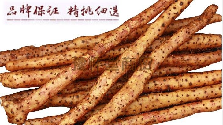 豫怀堂 精品 正宗河南焦作温县垆土铁棍山药新鲜怀淮2500g