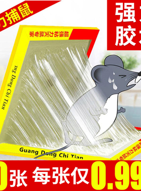 老鼠粘超强力粘鼠板捉沾大号老鼠贴胶药夹捕鼠神器正品家用一窝端