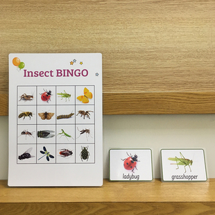 幼儿园课堂小组bingo游戏家庭桌游16张昆虫主题英语训练闪卡教具