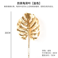 Армейское зеленое золото/черепаха назад доли/1