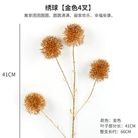 Абрикос 4 луковая гидрангея/1