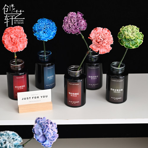 创艺轩鲜花染色精华吸色专用多色DIY鲜花染花材料花店专用资材