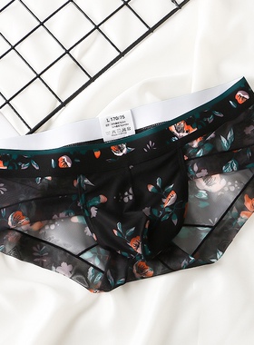 男士夏季三角裤U凸性感大囊袋新款微弹网纱男生印花内裤速干裤头