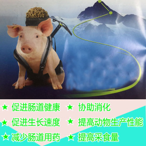 荷兰泰高集团赛尔可进口肥酸宝猪用肠道保护有机酸化剂兽用包邮