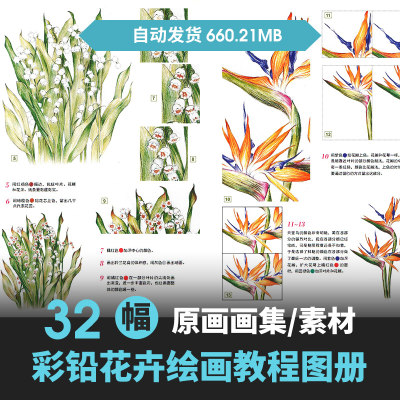 水彩彩铅花卉植物插画及部分教程图片素材绘画美术参考步骤图临摹