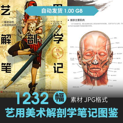 石政贤美术艺用解剖学笔记Stonehouse人体结构骨骼绘画集参考素材