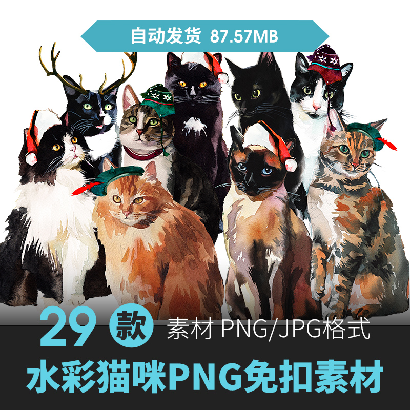 水彩手绘卡通可爱宠物猫咪英短蓝猫插画PNG免扣手账设计素材图案