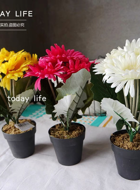外贸尾货 仿真非洲菊花假花摆设客厅餐桌装饰品插花摆件 拍摄道具
