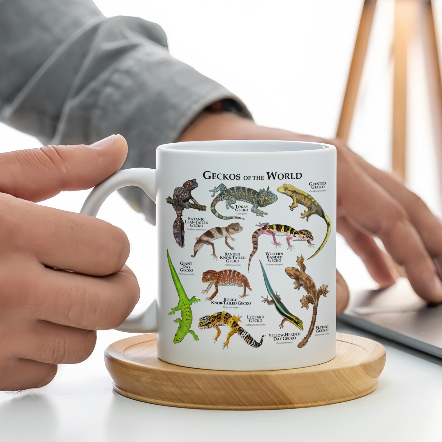 壁虎图鉴冷血爬行动物马克杯