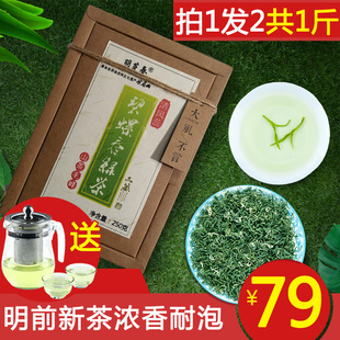 炒青春茶浓香型高山日照毛尖茶500g 羽芽春绿茶2025新茶叶明前散装