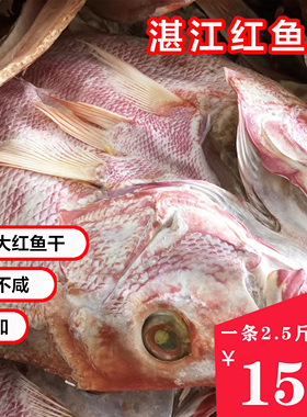 湛江特产特大红鱼干送礼整条大红鲷鱼干风干淡干海鱼3斤一条