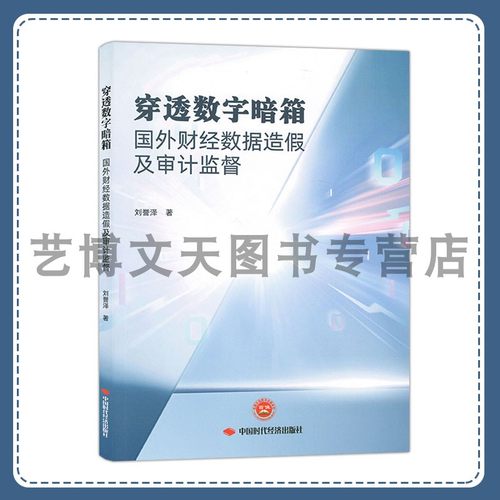 穿透数字暗箱 : 国外财经数据造假及审计监督 刘誉泽 9787511934109 中国时代经济出版社