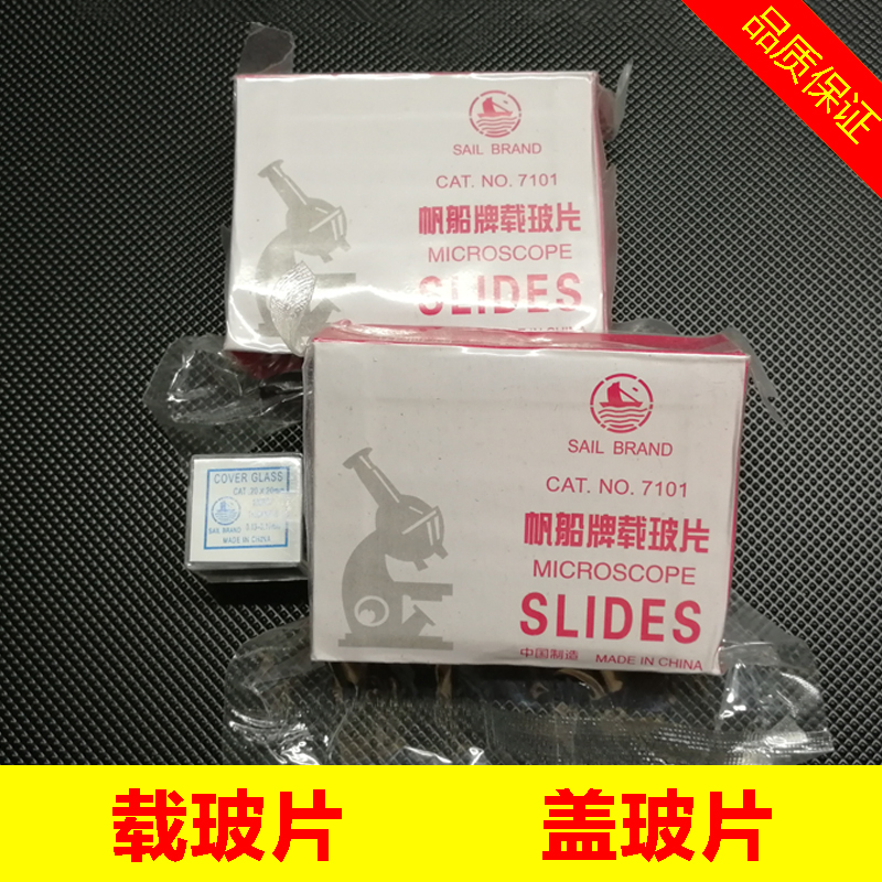 实验显微镜一滴血套装标本切片