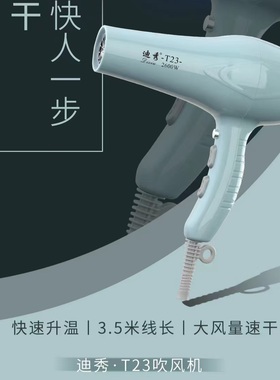 官方正品迪秀T23吹风机2400W大功率全新升级版送毛滚梳一把