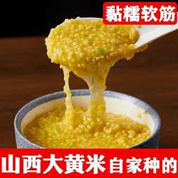 正宗繁峙大黄米繁峙大黄米