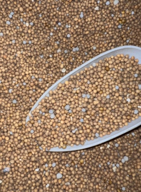 奥绿控释肥318s通用多肉进口月季专用颗粒缓释肥奥绿A2 1号5号328