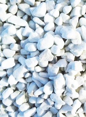 硬质珍珠岩大颗粒兰花热植大粒植料拌土多肉扦插发根土增加透气性