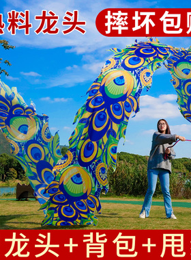 舞龙彩带健身广场舞健身龙中老年人手舞龙8米彩带中国甩龙带龙头