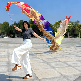 广场健身龙彩带成人手舞龙彩带中国龙舞龙彩带黄金龙舞龙道具全套