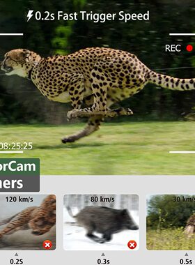 真4K4G户外打猎相机HC-812Pro 支持FTP/SMTP/APP/LIVE VIDEO