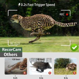 812Pro LIVE 支持FTP APP VIDEO SMTP 真4K4G户外打猎相机HC