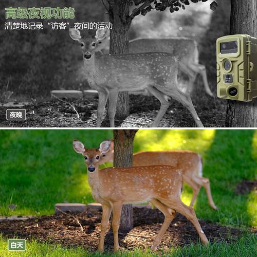 新品动物监测家庭安防户外打猎狩