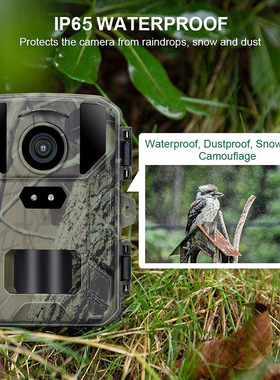 户外红外运动相机mini800  4K 50MP打猎野外追踪相机trail camera