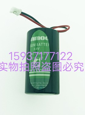 ITRON流量计ITRONcfecho气体体积修正仪电池高能免维护3.6V锂电池