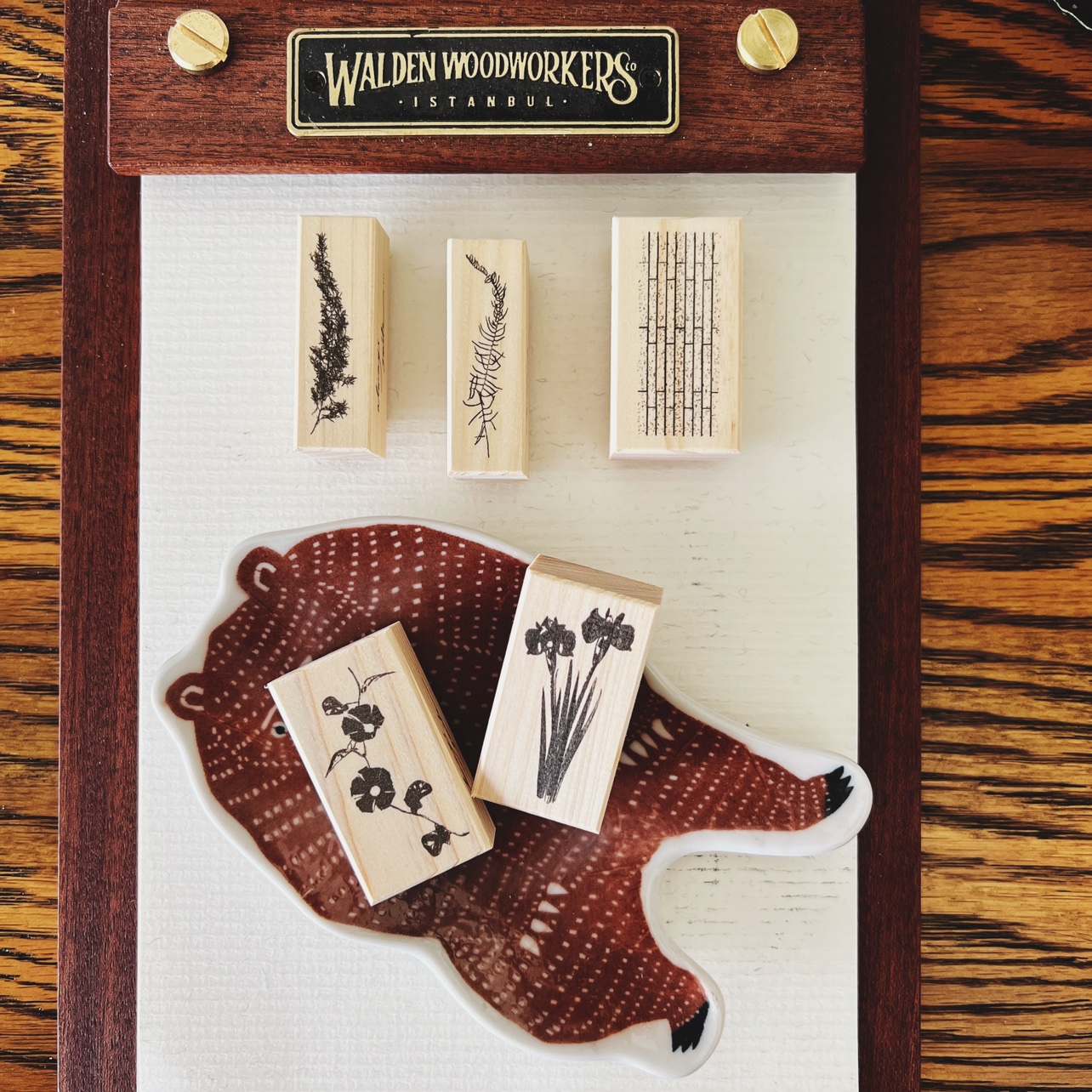 现货 新款 niko 清新小植物 若竹 背景打底 木质印章