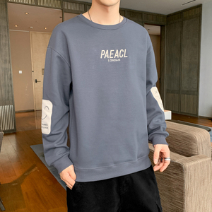 秋季长袖卫衣男t恤男圆领套头刺绣港风宽松精工艺模特白色9702P40图片