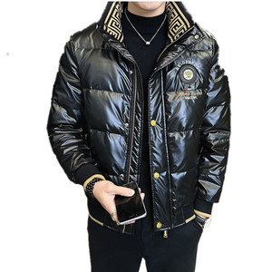 冬季简欧洲站羽绒服刺绣亮面90%白鸭商务立领厚外套杏色Y9183P280图片