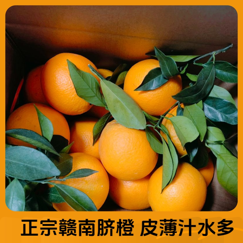 江西正宗赣南脐橙赣州产地直发当季橙子新鲜整箱批发应季水果