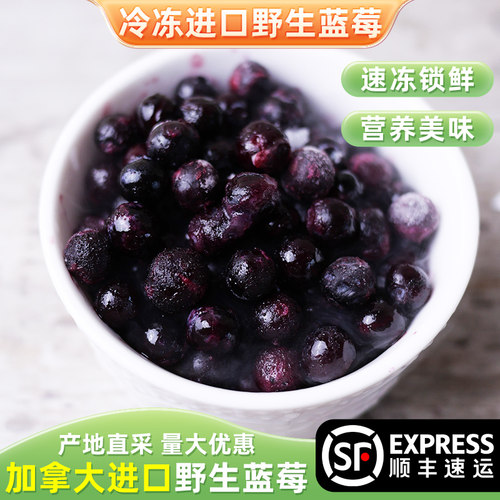 加拿大进口速冻锁鲜牛津蓝莓