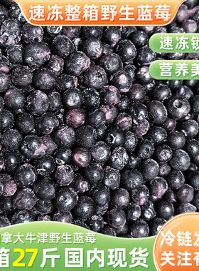 加拿大进口野生蓝莓速冻蓝莓