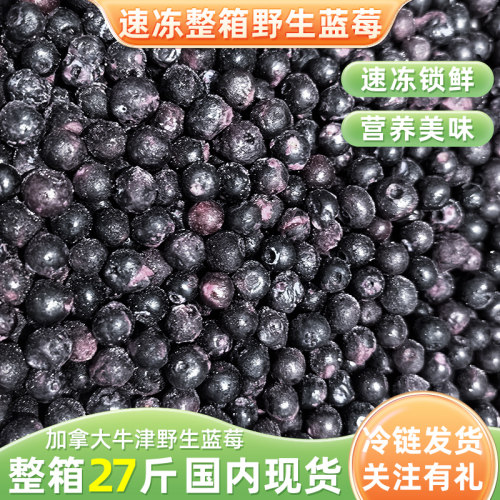 加拿大进口野生蓝莓速冻蓝莓