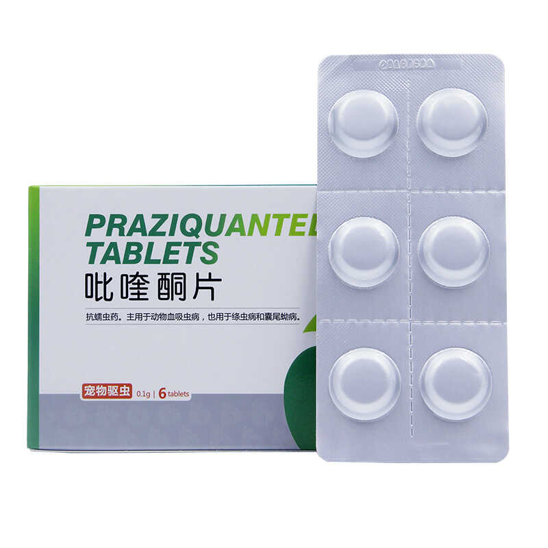 吡喹酮片狗狗宠物体内驱虫药
